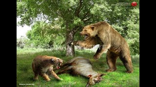 Эволюция  Медведь  От доисторического хищника до наших дней  Супер фильм