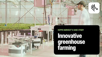 Innovatieve glastuinbouw | Casestudy van Hippo Harvest | Zebra