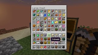 SKYBLOCK  challenge ep4