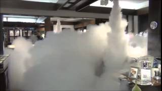 Protect Global Security Fog Cannon