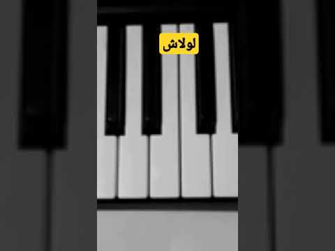 لولاش حسام حسني عمر افندي احمد حاتم