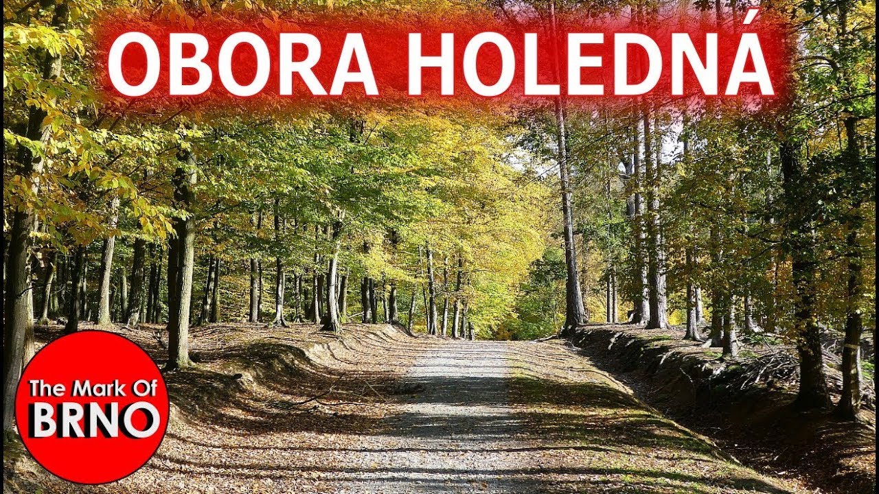 Obora Holedná - podzimní Brno se zvěří 5Km 2h - 4K - Marek z Brna