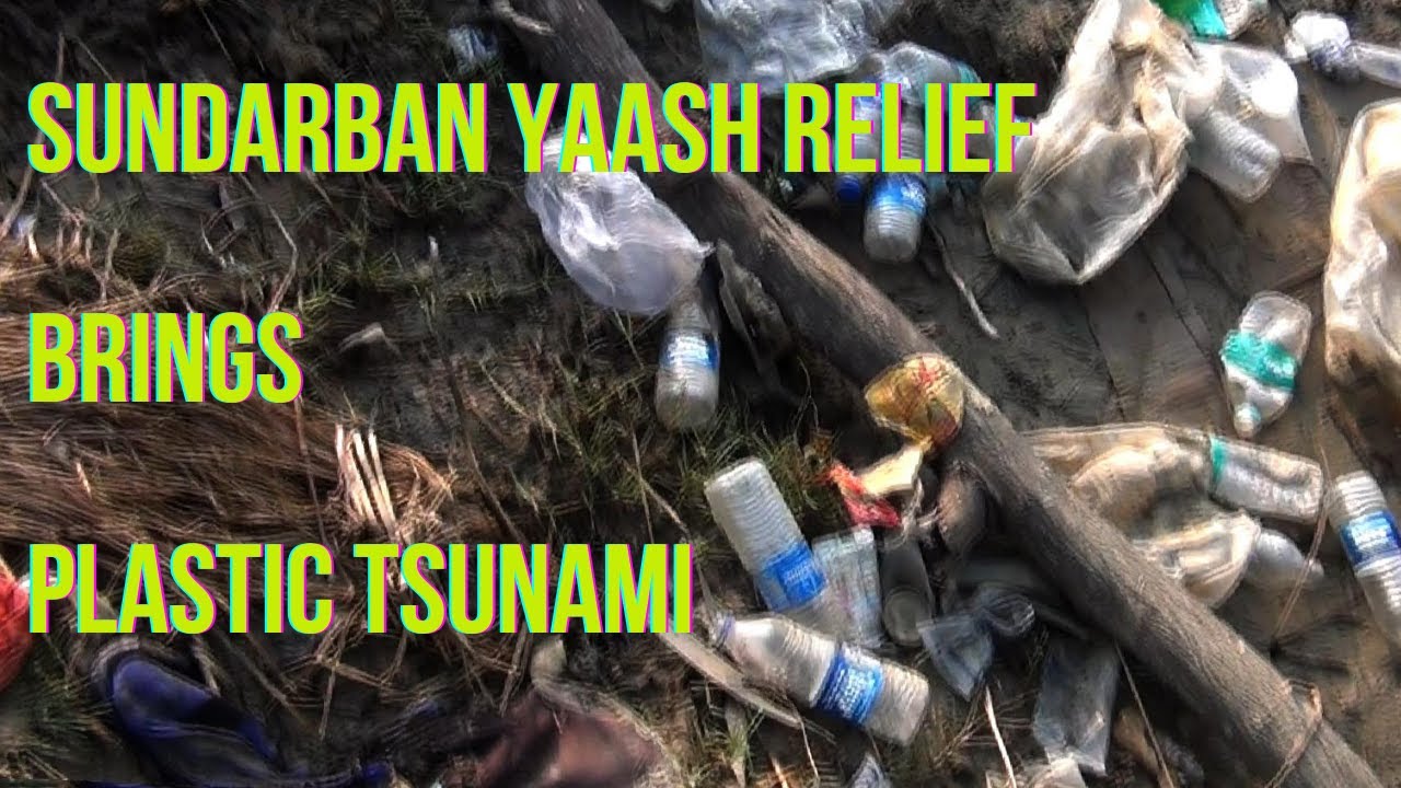 Sundarban Yaas Relief Sundarban Plastic Pollution Sundarban Yaas