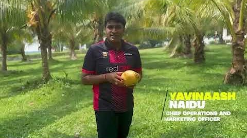 Optimizing Crop Yield Prediction through Aerial AI Analysis