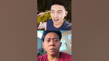 kasian sekali babi ini guys #facts #animals #reaction #shorts
