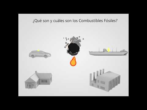 Video: ¿Qué porcentaje de combustible fósil consume el cuestionario de Estados Unidos?