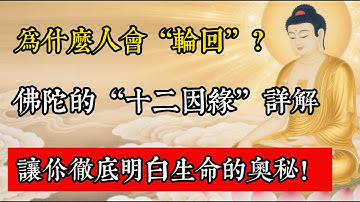 為什麼人會“輪迴”？佛陀的“十二因緣”詳解，讓你徹底明白生命的奧秘！#佛教 #佛家 #佛法 #佛學知識 #佛學智慧 #修心修行 #佛教文化 #禪悟人生 #傳統文化