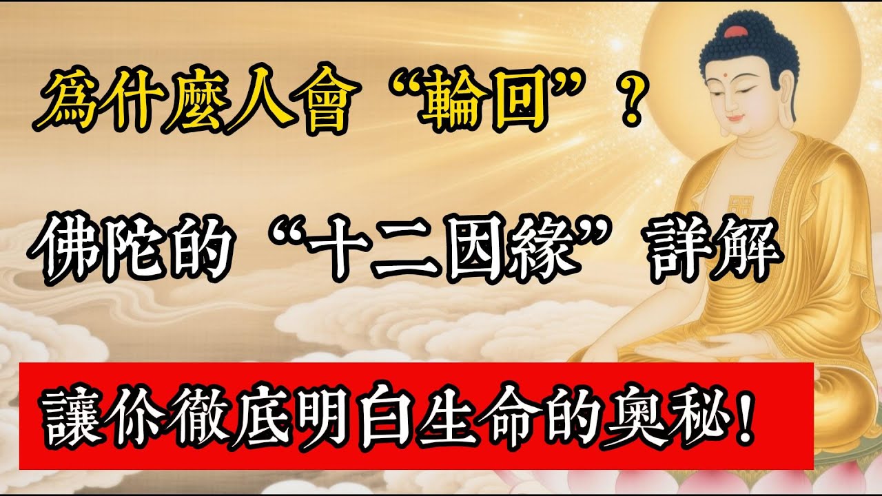 為什麼人會“輪迴”？佛陀的“十二因緣”詳解，讓你徹底明白生命的奧秘！#佛教 #佛家 #佛法 #佛學知識 #佛學智慧 #修心修行 #佛教文化 #禪悟人生 #傳統文化