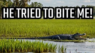 Everglades Airboat Adventure | Alligator Encounters & Key West Vibes