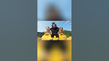 Capybara và Bà Bigfoot - CAPY văng ra khỏi phao làm bà lo lắng