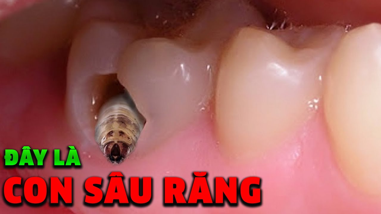 100+ Sự Thật Khó Tin Không Được Ghi Trong Sách Giáo Khoa