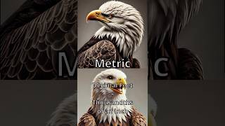 Decimal Feet: Because Americans Won’t Admit We Like Metric