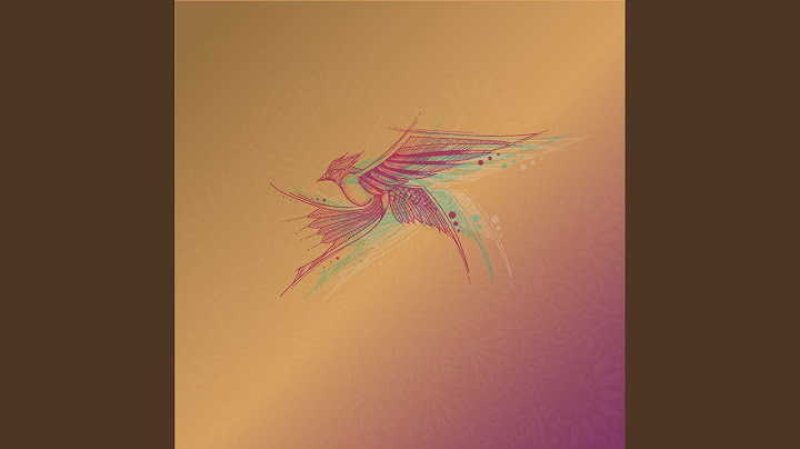 Magpie In Flight