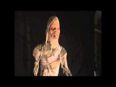 Cursed Mummy Prop - Halloween Prop