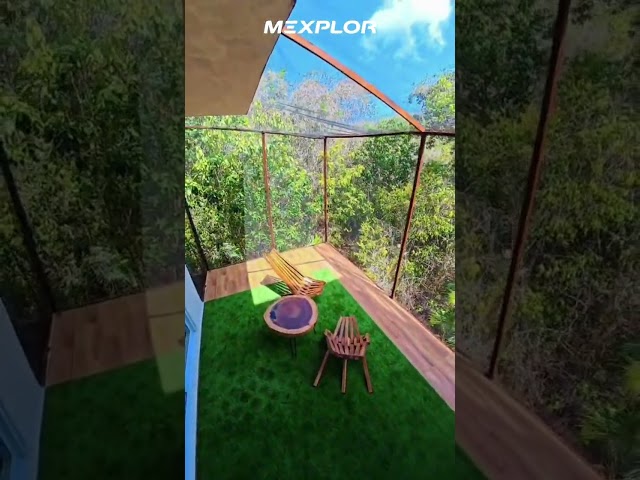Enjoy a unique experience surrounded by nature, combining relaxation, connection, and dance.

At the Jungle House, you c