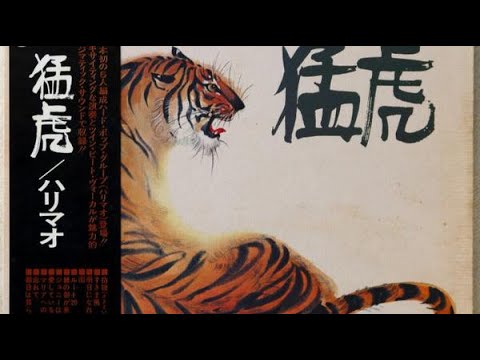 ハリマオ　1st「猛虎」 Harimau = ハリマオ – 猛虎 – Vinyl (LP, Album, Stereo), 1974