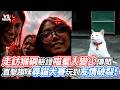 走訪猴硐驗證喵星人變少傳聞 直擊趣味尋貓大賽玩到友情破裂！｜VS MEDIA x @WhatFur什麼毛