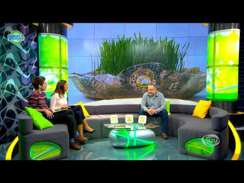 GDS დილა 29.10.2014 - სტუმრად სტუდიაში მინიატურების მხატვარი ლევან მარგიანი