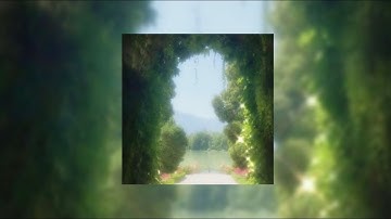 شريف مصطفى سورة البلد Sherif Mostafa Surat Al-Balad