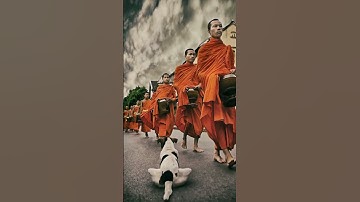 Thumbnail of ANlTYA #music #flute #instrumental #love #song #instrumentalmusic #buddha #motivation