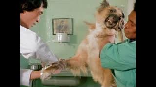 The Animals Film 1981 Uncut
