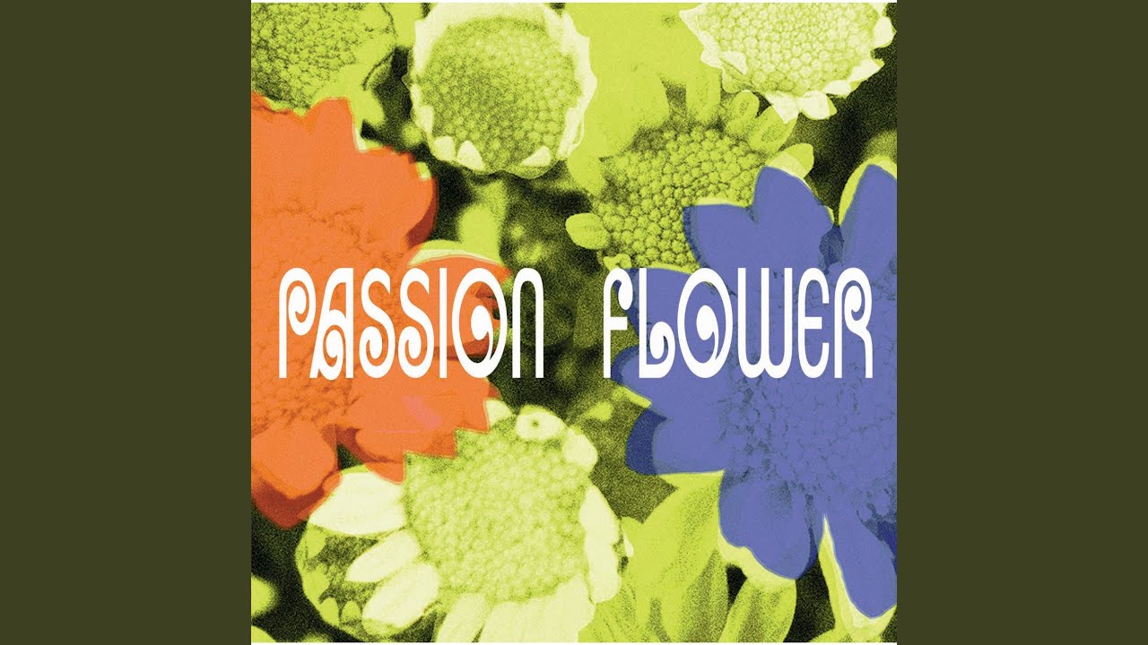 Let Your Love Flow - YouTube