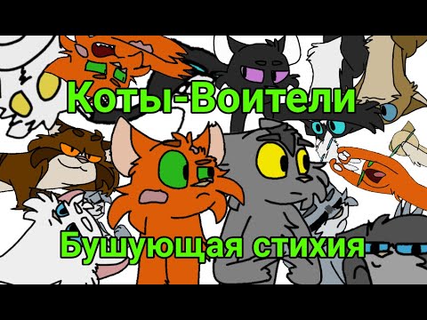 Коты-Воители: Бушующая стихия в двух словах