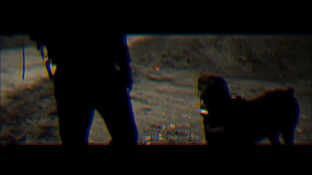 rogal-ddl-deadline-drill-blend-youtube