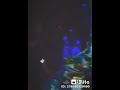 افجر حالات واتس حسن شاكوش على مهرجان شمس المجره