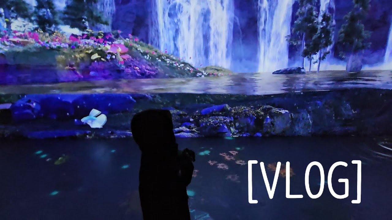 [VLOG] 밀린 일상 브이로그 | 과천 원더파크 | 방학기간