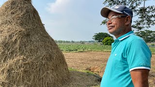 Hugas Plato At Inidoro Sa Barkonakapagpatapos Ng Doctor At Engineer