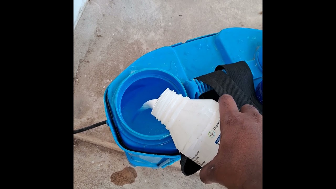 Bayer premise termite control RR PEST CONTROL 955 380 2435