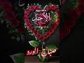 دعاء صباح يوم الاحد حالات واتس دينية صباح الخير دعوة صباحية دعاء صباح يوم الاحد حالات واتس دينية صباح الخير دعوة صباحية