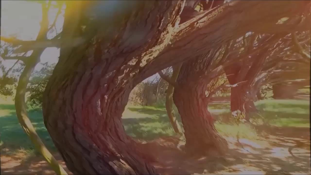 Royalty Free Music The Poisoned Princess