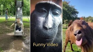 TRY NOT to LAUGH 😂 BEST Funny Video Compilation 🤣😂😅 Memes part 1