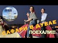 В Дубай на сафари? ПОЕХАЛИ!!!