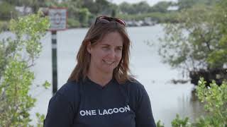 NewsNight | Interview with Jesse Wayles, about restoration efforts in Brevard and Volusia counties.