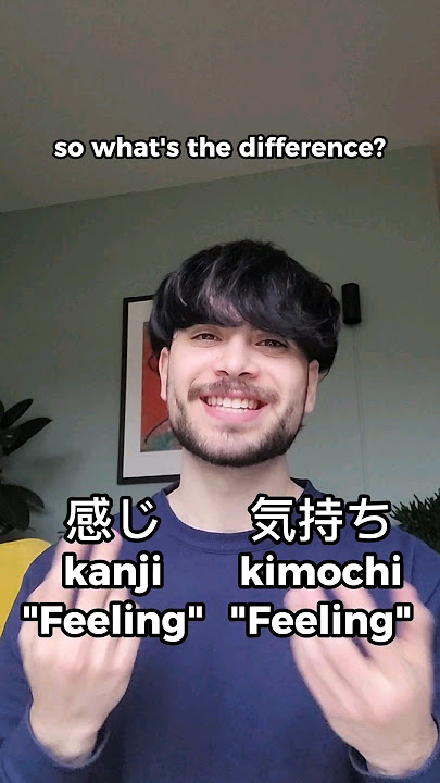 Two ways of saying 'feeling' in Japanese, 感じ (kanji) vs 気持ち (kimochi)