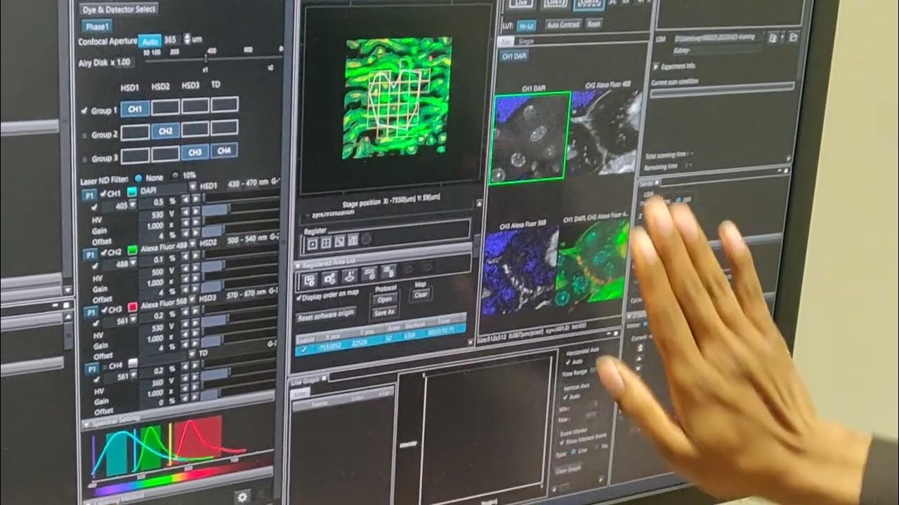 Olympus FV3000RS laser confocal microscope training for stitching YouTube
