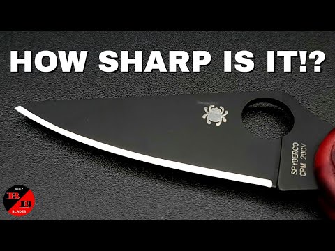  TSPROF Pioneer Sharpening Kit, Knife Sharpener, Knife Sharpening  Kit for Kitchen, Folding, Tourist and Multitool Knives, Compact Knife  Sharpening Device: Home & Kitchen