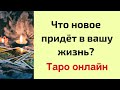 Что новое придёт в вашу жизнь? | Таро онлайн