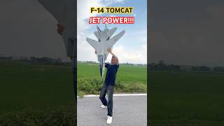 Insane Power Rc F - 14 Tomcat In Action
