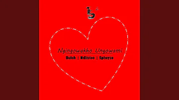 Ngingowakho Ungowami