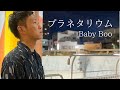 【ショート】プラネタリウム【Baby Boo アカペラ】/ GonB #shorts
