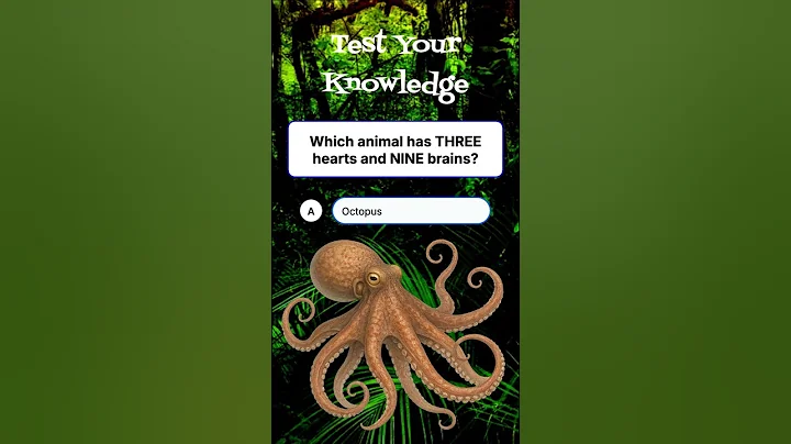 Mind-Blowing Animal Fact: Which Creature Has 3 HEARTS & 9 BRAINS? 🐙