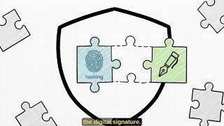 The difference between Hashing, Digital signature, Asymmetric and Symmetric Encryption techniques
