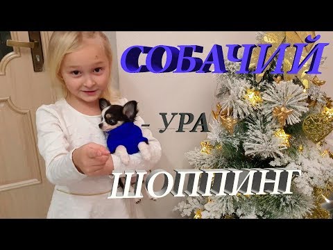 Видео: ПОКУПАЕМ ДОМ СОБАКЕ или ДЛЯ ЛЮДЕЙ?  | СОБАЧИЙ ШОППИНГ