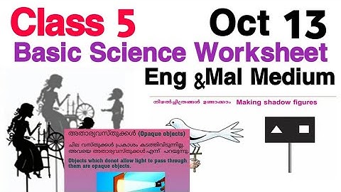 Class 5 Basic Science Worksheet Oct 13/5th std basic Science Worksheet 13/10/21/basic science class5