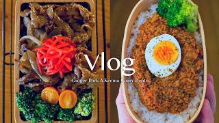 Ginger Pork Bento & Keema Curry Bento | Glimpses of My Daily Life