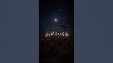 قران كريم quran راح نفسية #تلاوة_خاشعة #قران #quran #quran_alkarim #اجر_لي_ولكم #ذكر #islam #اسلام